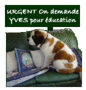 yves, comment on fait? 163321