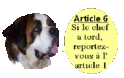 st bernard male 3 ans 22666