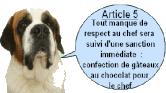 A donner male st bernard 5 ans Meurthe et Moselle 440146