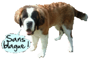 URGENT FEMELLE SAINT BERNARD DE 2 ANS!!!!!! 853938